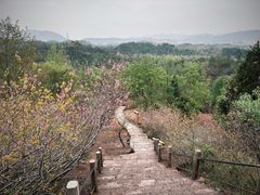 -天台山赤城山景区