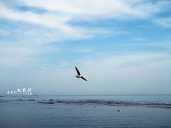 -北戴河东海水浴场