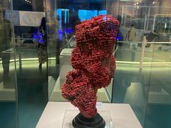 -上海中国航海博物馆