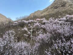 -崆峒山景区