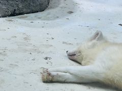 -海合安青岛极地海洋公园