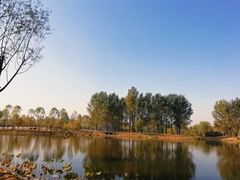 -东郊湿地公园
