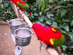 -南宫五洲植物乐园