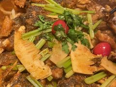 -老板恋上鱼(恒隆广场店)