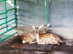 -瑞博尔花园酒店(太周创新产业园店)