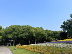 -东方绿舟景区