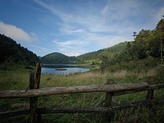 -武陵山森林公园