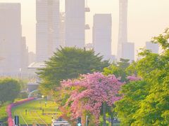 -广州天河希尔顿酒店