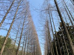 -昆山城市生态森林公园