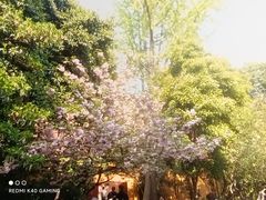 -龙华寺