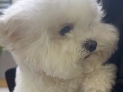 -美联众合动物医院·24h转诊中心