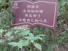 -终南山南五台景区