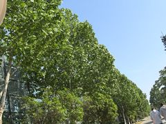 -祥源·阜阳生态乐园