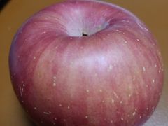 -鲜丰水果(明桂南苑店)