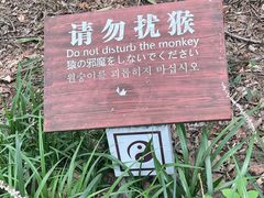 -句容茅山景区