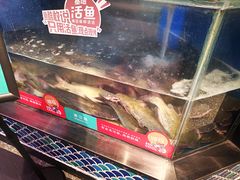 -鱼酷活鱼烤鱼(梅江印象城店)