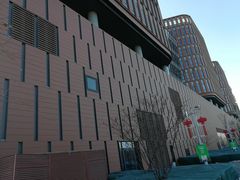 -中国宋庆龄青少年科技文化交流中心