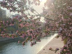 -元大都城垣遗址公园