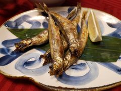 -初花·日本料理