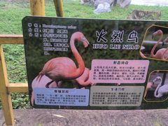 -哈尔滨北方森林动物园