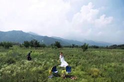 -你好晴天·目的地婚礼