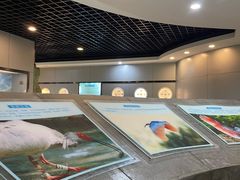 -下渚湖国家湿地公园科普馆