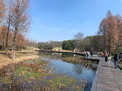 -长广溪湿地公园
