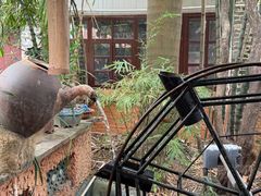 -园林美食城·本土农家菜(杨和镇店)