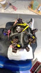 -PE SALON