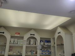 -特一安24小时宠物医院·骨科·中兽医