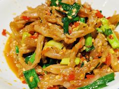 鸭掌筋-壹盏灯(惠农店)