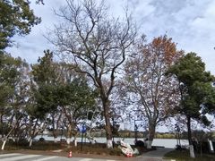 -东湖景区