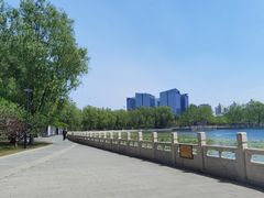 -莲花池公园