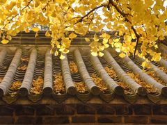 -浮来山风景区