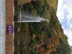 -天女山森林公园