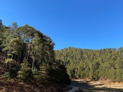-大浪坝森林公园