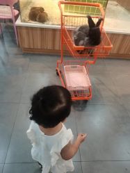 -Moni星球萌宠·小马宝莉·灵蛇·高端高阶全萌宠互动体验俱乐部(红豆国际广场店)