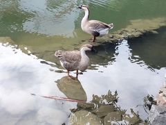 -田州古城