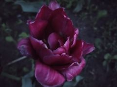 -长春公园(普阳街道)