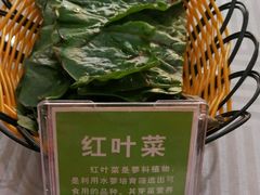 -教师之家赵家羊汤馆(东青龙街店)