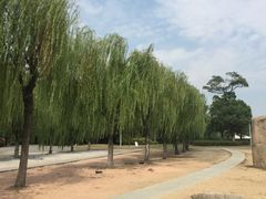 -暨阳湖生态园
