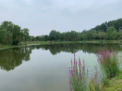 -东郊湿地公园