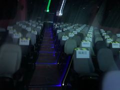 -中影嘉华国际影城(大芬星都里店)