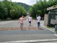 -都江堰中华大熊猫苑