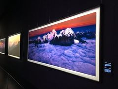 -罗红摄影艺术馆