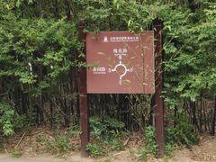 -日照海滨国家森林公园
