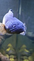 -Zoolung Zoolung动物主题公园(海信广场店)