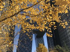 -中央广播电视总台(光华路办公区)