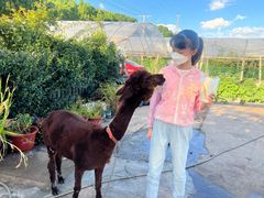 -美家乐农庄·露营·团建(大治路店)