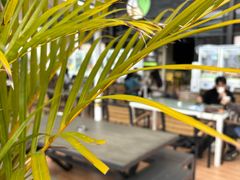 -813芭依珊 BAESAn(皇冠十畝地店)